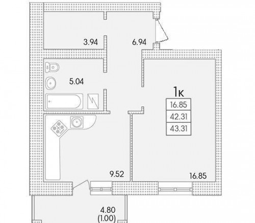 43,31 м²