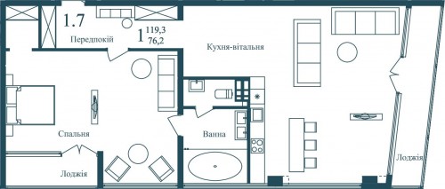 119,30 м²