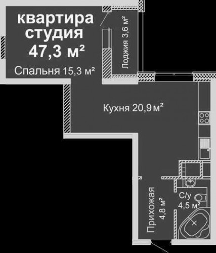 1-комнатная квартира 47,3 м²