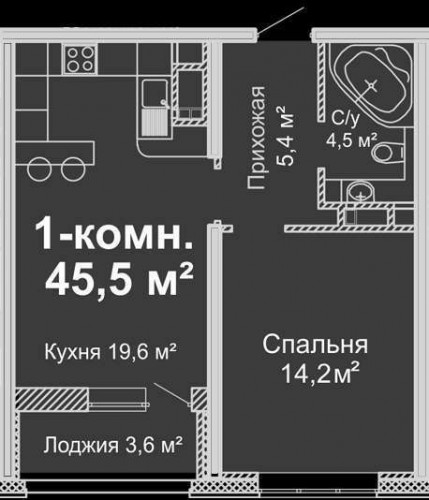 1-комнатная квартира 45,5 м²